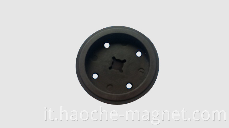 Anello magnetico a magnetizzatura magnetizzata a 12 poli